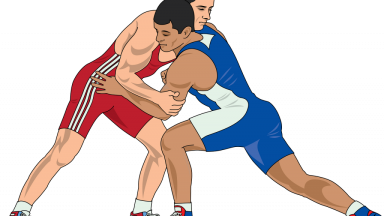Спортивная ( вольная ) борьба.